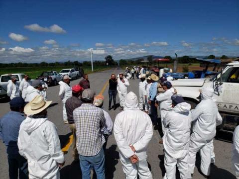 Apoyan Tlaxco y Cesavetlax a ejidatarios en combate de plaga de Chapulin imagen 2
