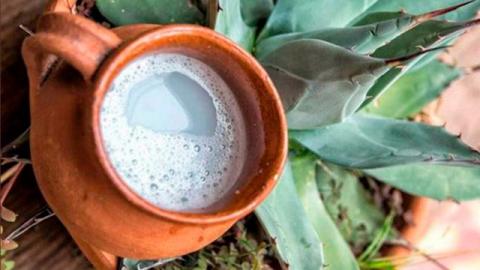 Posponen X Festival del Pulque de Tlaxco
