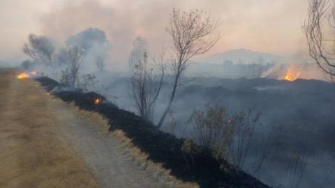 Seguridad Pública Municipal combate incendio en campos de Texóloc imagen 6