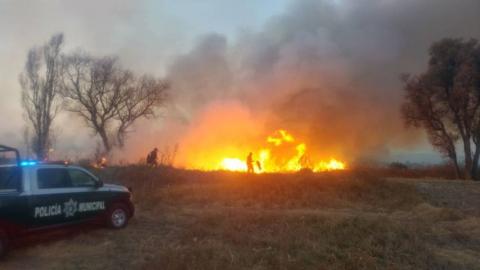 Seguridad Pública Municipal combate incendio en campos de Texóloc imagen 2