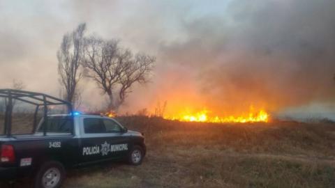 Seguridad Pública Municipal combate incendio en campos de Texóloc imagen 7