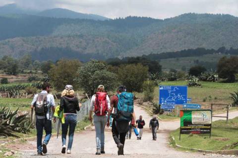 Arriban más de 58 mil visitantes al santuario de las luciérnagas: Secture imagen 1