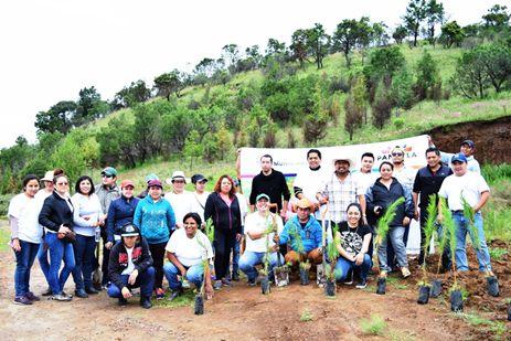 Arranca en Panotla programa de reforestación “Oxigena a tu familia” imagen 1
