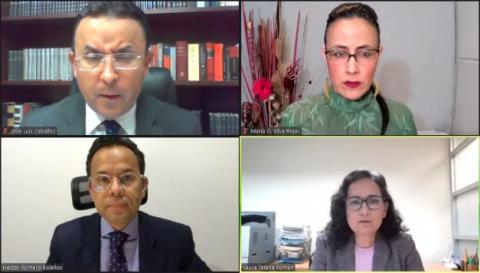 Procede creación de representación indígena y afromexicana ante el IEPC