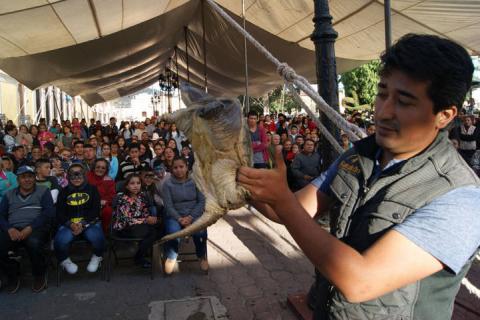 Hoy celebra Tlaxco a San Agustín en la Feria del Queso, la Madera y el Pulque imagen 50