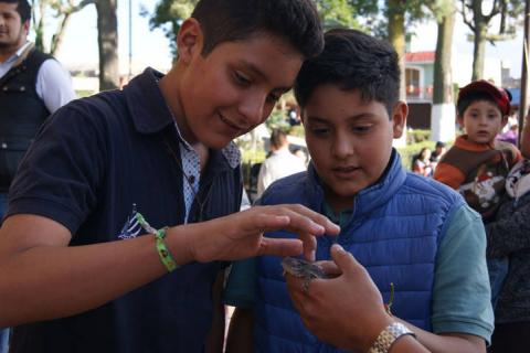 Hoy celebra Tlaxco a San Agustín en la Feria del Queso, la Madera y el Pulque imagen 14