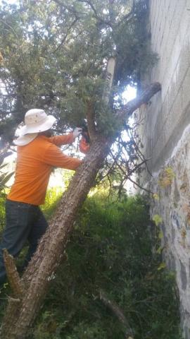 Ayuntamiento realiza acciones preventivas a favor de la ciudadanía imagen 1