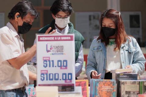 Tendido de libros en el Museo Miguel N. Lira imagen 7