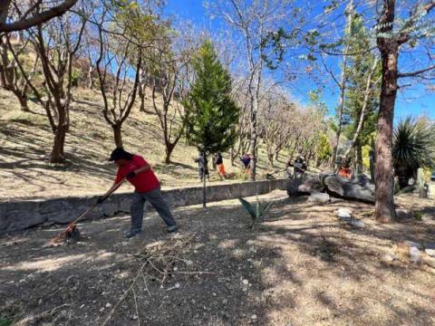 Poda y limpia Ayuntamiento de Tlaxcala Av Puebla para recibir mejor al turismo imagen 4
