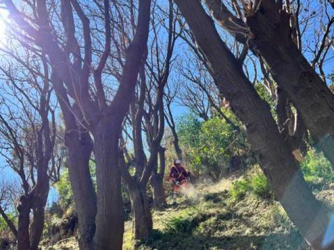 Poda y limpia Ayuntamiento de Tlaxcala Av Puebla para recibir mejor al turismo imagen 2
