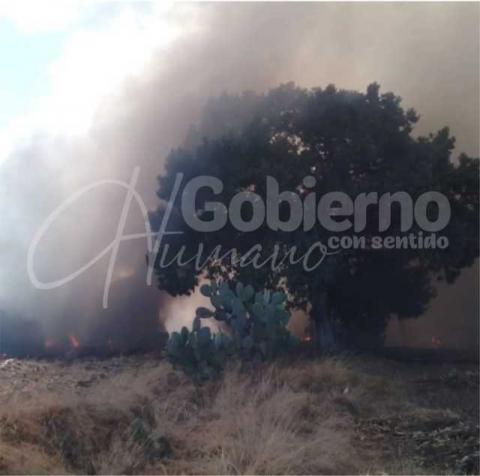 Tzompantepec: respuesta interinstitucional oportuna ante incendio en corralón estatal imagen 1
