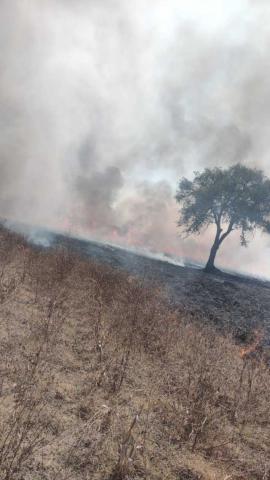 Pronta intervención permite sofocar dos incendios de pastizal en Huamantla imagen 5
