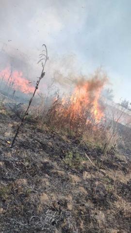 Pronta intervención permite sofocar dos incendios de pastizal en Huamantla imagen 6