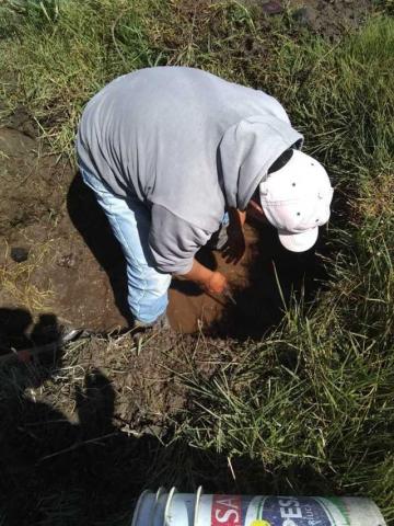 Refuerza CAPAMH trabajos de mantenimiento y reparación en la red de agua potable imagen 5