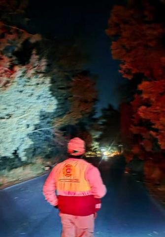 Fuertes vientos provocan la caída de un árbol en Chiautempan imagen 1