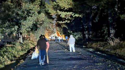 Fuertes vientos provocan la caída de un árbol en Chiautempan imagen 2