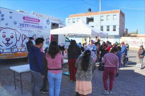 Llevan a Loma Bonita jornada gratuita de vacunación, desparasitación y esterilización para perros y gatos imagen 6