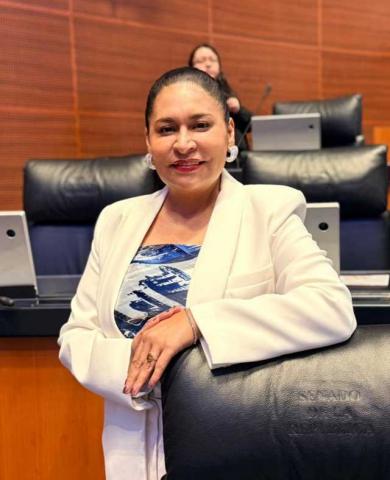 Ana Lilia Rivera sobre la reforma electoral de Sheinbaum