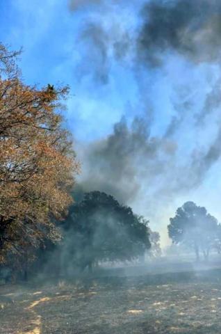Habrá sanciones a quienes resulten responsables de provocar incendios: Blanca Angulo imagen 3