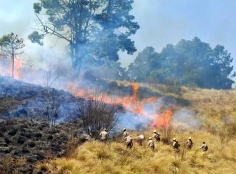 Habrá sanciones a quienes resulten responsables de provocar incendios: Blanca Angulo imagen 1