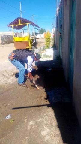 CAPAMH refuerza acciones de mantenimiento en la red de agua y drenaje en Huamantla imagen 2