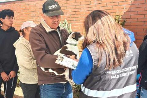 En acción coordinada se pondrán en marcha campaña nacional de vacunación antirrábica canina y felina imagen 3