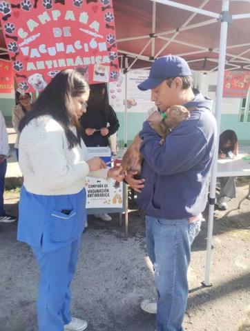 SESA e IMSS-Bienestar aplicarán más de 388 mil vacunas antirrábicas a perros y gatos imagen 3