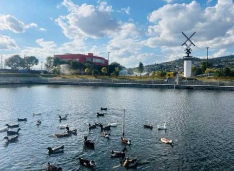 Llama CEAS a evitar desperdicio de agua en sábado de gloria y promover cultura de cuidado imagen 3