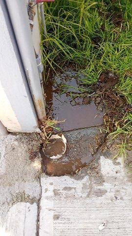 CAPAMH atiende incidencias en red de agua y drenaje en distintos puntos de Huamantla imagen 2
