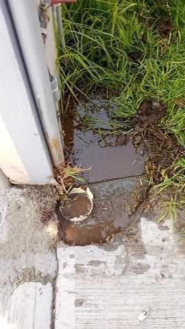 CAPAMH atiende incidencias en red de agua y drenaje en distintos puntos de Huamantla imagen 1