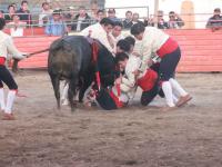 Fotos: JL Hertewing