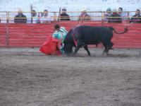 Fotos: JL Hertewing