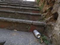 Fotografías de Nierika Images y Agencia Enfoque.